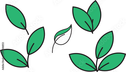 Set of green leaves and nature elements as a collection of simple botanical graphic illustrations