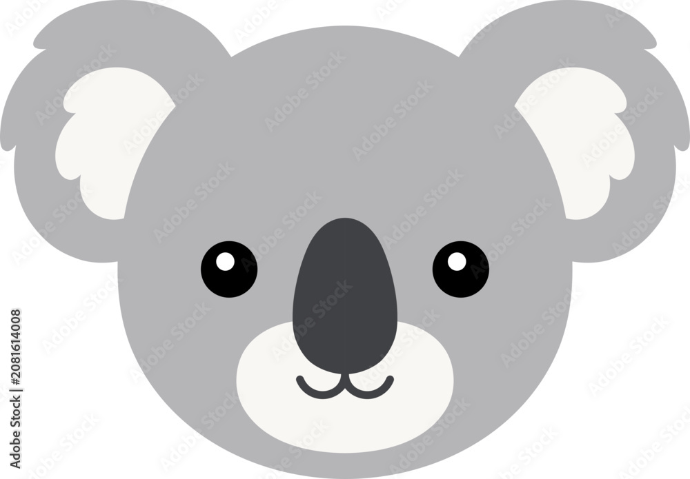 Fototapeta premium Koala
