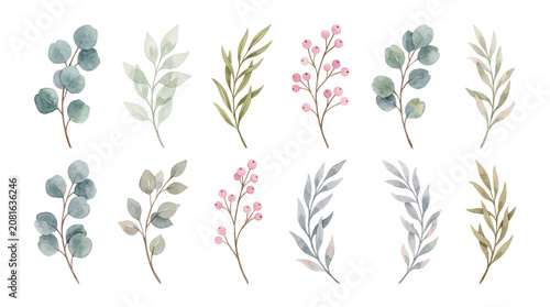 Tableau sur toile Watercolor botanical branches transparent PNG clipart set, isolated eucalyptus l