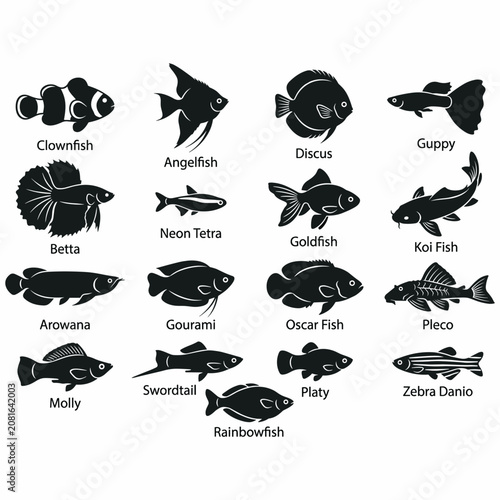 A collection of black silhouette icons depicting various popular freshwater and saltwater aquarium fish species with their names.