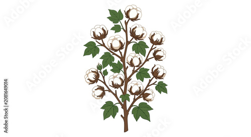 Bild auf Leinwand Cotton plant illustration with white bolls and green leaves on a white backgroun