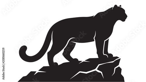 Photography Cougar Standing on Rocks with Tail Raised, Black Silhouette on White Background