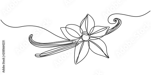 Vanilla Flower and Pods One Line Drawing Vector Illustration