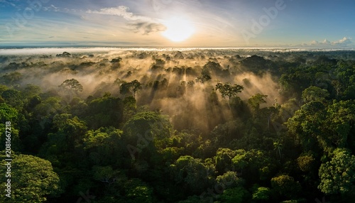 Stunning Aerial View Of The Amazon Rainforest At Sunrise With Golden Light Piercing Through Morning Mist Rising From The Lush Dense Tropical Canopy