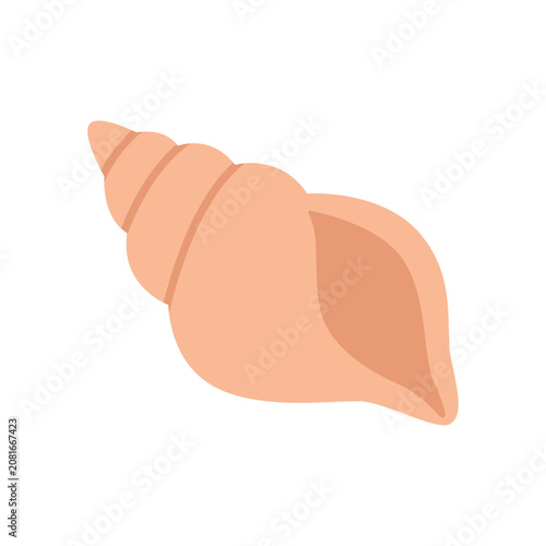 Peach Conch Shell Isolated on White Background Minimalist