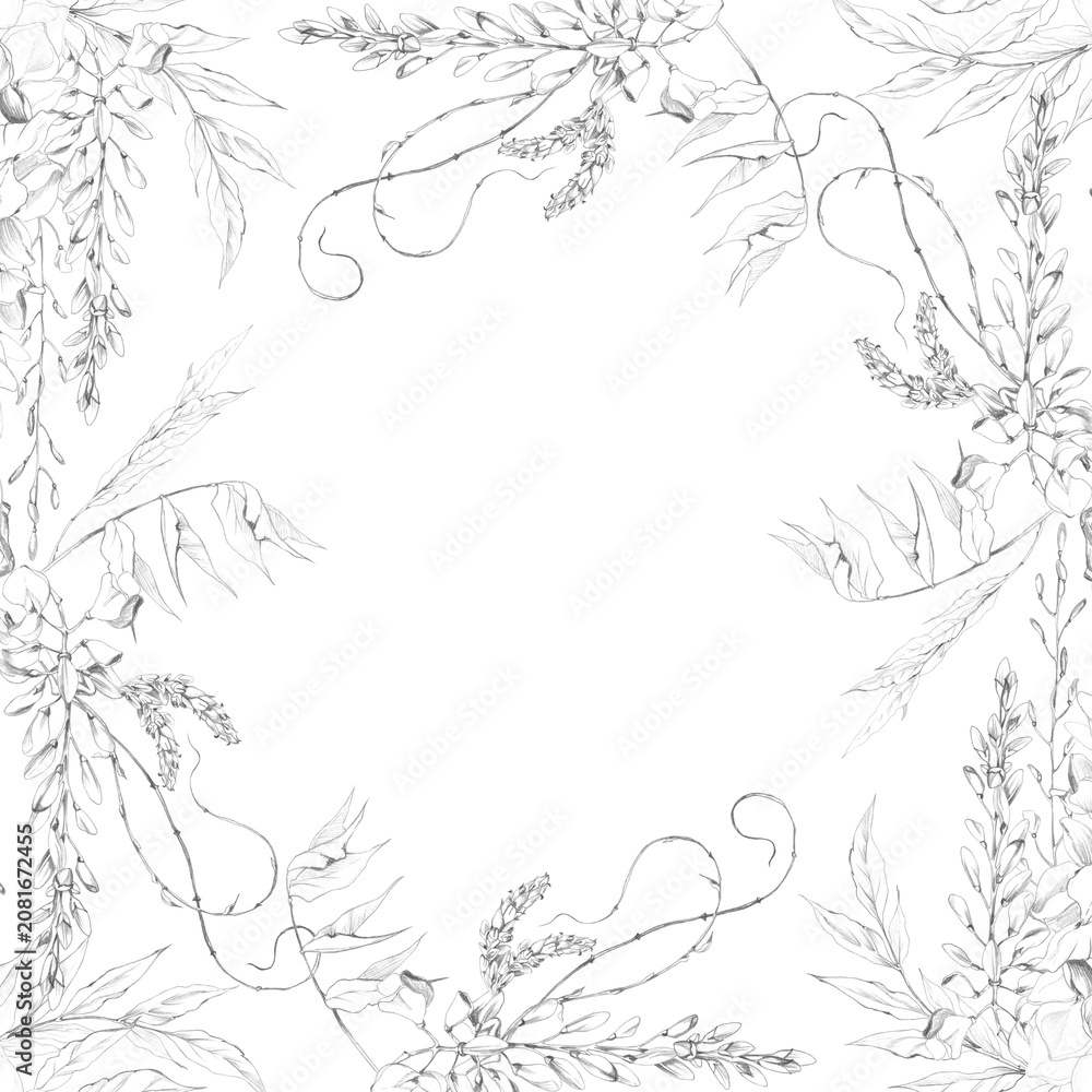 Obraz premium Botanical frame of flowering wisteria clusters, leafy branches and delicate tendril details. Graphite pencil hand drawn illustration. Estate branding, decorative certificates, floral catalog covers.