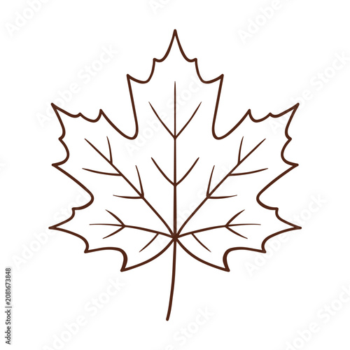 Maple Leaf Outline Vector Illustration