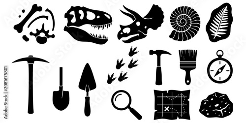 Canvastavla Fossils and tools for excavation displayed on a table indoors.