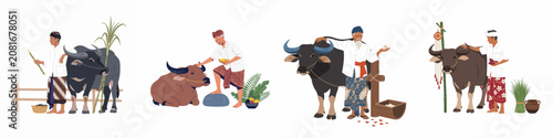 Foto Traditional Indonesian farmers in batik sarongs and headgear with water buffaloes, flat vector illustration set isolated on white background