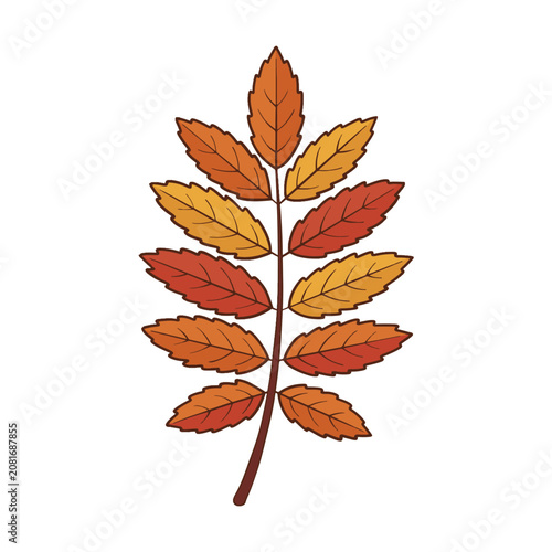 Rowan Leaf AutumnVector Illustration