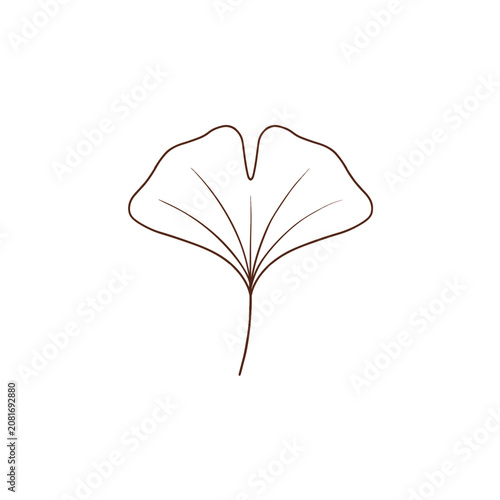 Ginkgo Leaf Outline Vector Illustration