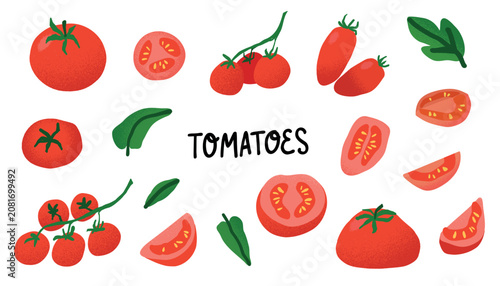Tomato set. Hand drawn tomatoes, whole and slices, fresh harvest produce and cooking ingredient. Ketchup packaging design, food label, packaging and grocery. Vector cartoon flat isolated illustration
