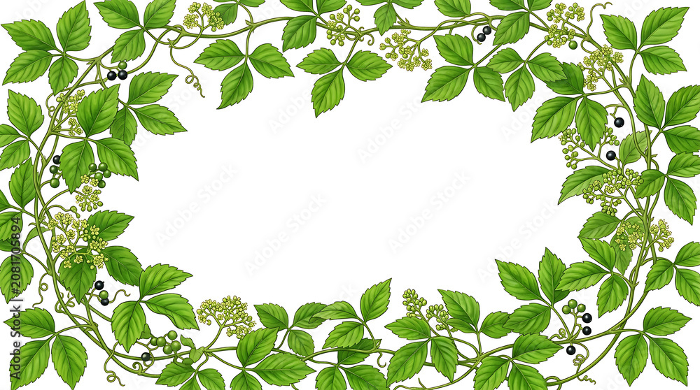 Fototapeta premium Oval Botanical Vine Frame, A digital illustration of green vines with five-lobed leaves, 8k imaage