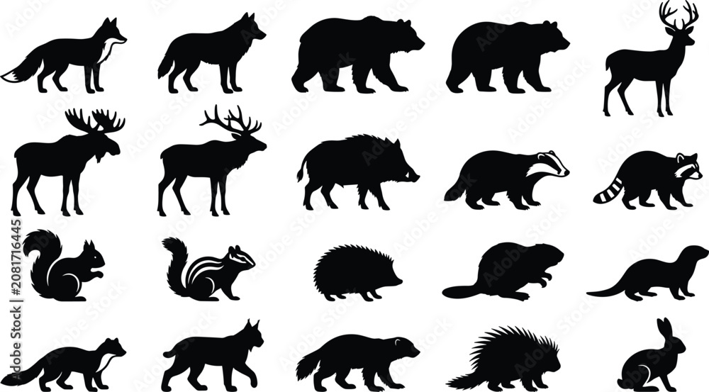 Obraz premium Forest animals black silhouette vector set with fox, wolf, bear, deer, moose, elk, wild boar, badger, and raccoon silhouettes