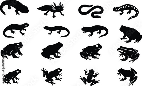 Cuadro en lienzo Amphibians silhouette vector set with frogs, toads, salamanders, newts, and axol