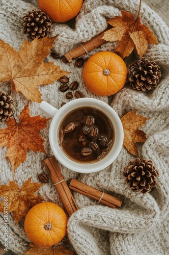 Warm Drink With Coffee Beans, Pumpkins, Pine Cones, and Autumn Leaves on Knit...