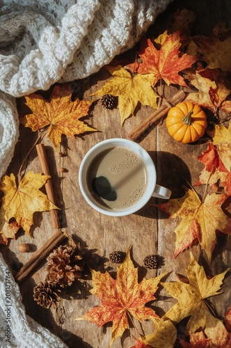 Coffee Cup on a Wooden Table Surrounded by Autumn Leaves, Pinecones, and a Sm...