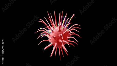 Neural network scanning. The 3D structure of the virus with coordinates. Tracking of objects. 3D sphere with spikes and frames. Computer vision analysis, a form with data overlay.