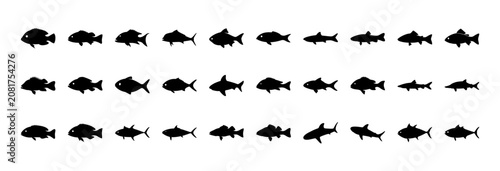 School of fish swimming in formation - A clean black and white vector illustration of a group of fish swimming in a neat, organized line formation.