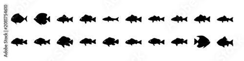 Black fish swimming in a line illustration - A clean black and white illustration of fish swimming in a straight line, perfect for educational or decorative use.