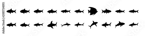 Black and white fish swimming in a line - Minimalist vector illustration of black and white fish icons swimming in a straight line, ideal for educational or design projects.