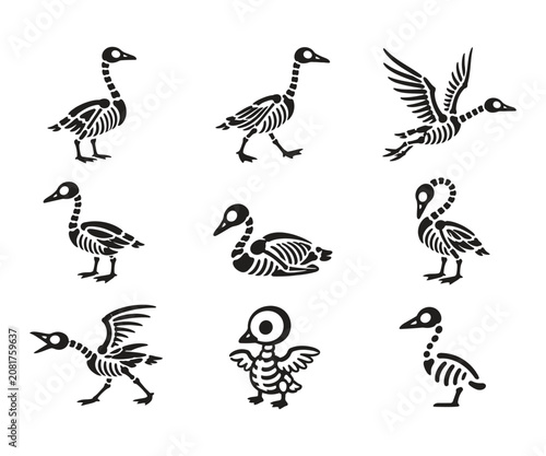 Skeleton Bird Bones Illustration Set Black White Tribal Style Flying Birds Anatomy Vector Pack
