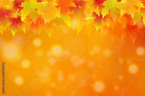 Warm autumn orange background Colorful maple leaves hanging from top border Golden bokeh lights Copy space Seasonal fall mood Banner flyer social media advertising thanksgiving promotion template