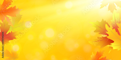 Warm autumn background Colorful maple leaves  border frame Golden bokeh lights Copy space Seasonal fall design Banner flyer Social media advertising Thanksgiving promotion marketing Fall mood