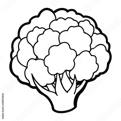 Healthy vegetable cauliflower outline vector illustration with natural edible plant shape isolated design