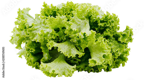 Fotografia Fresh green lettuce leaves with ruffled edges, isolated on transparent backgroun