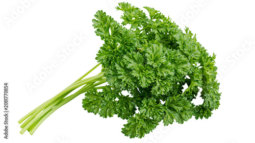 Obraz na płótnie Fresh green curly parsley bunch, isolated on transparent background