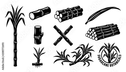 Quadro su tela Bamboo and Arcane Botanicals Icon Set with Spears, Jars, and Magical Spellbook S