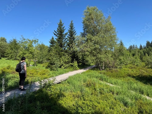 Fotografía Lotharpfad adventure trail in the Black Forest National Park or Lothar education