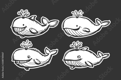 Photography Whale cartoon set featuring cute hand drawn marine animals with water spouts in