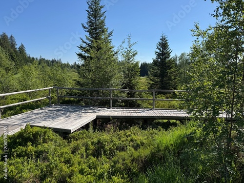 Quadro su tela Lotharpfad adventure trail in the Black Forest National Park or Lothar education