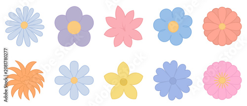 Set of flower inflorescences. Color vector illustration. Chamomile, violet, lily, gerbera, lush bud, chrysanthemum, cornflower, narcissus. Outline on an isolated white background. Flat style. 