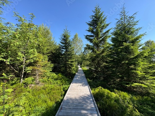 Fotografía Lotharpfad adventure trail in the Black Forest National Park or Lothar education