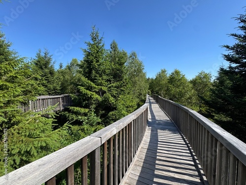 Canvas Print Lotharpfad adventure trail in the Black Forest National Park or Lothar education