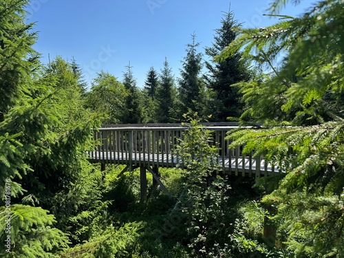 Foto Lotharpfad adventure trail in the Black Forest National Park or Lothar education
