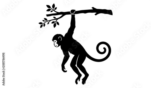 Photography Monkey Hanging Silhouette