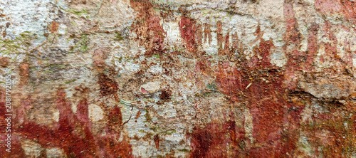 Bild auf Leinwand natural tree bark texture with rough organic pattern