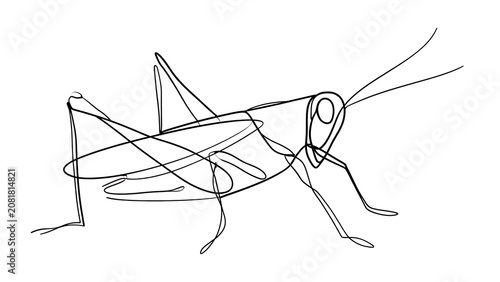 Minimalist Line Drawing of a Grasshopper Insect.