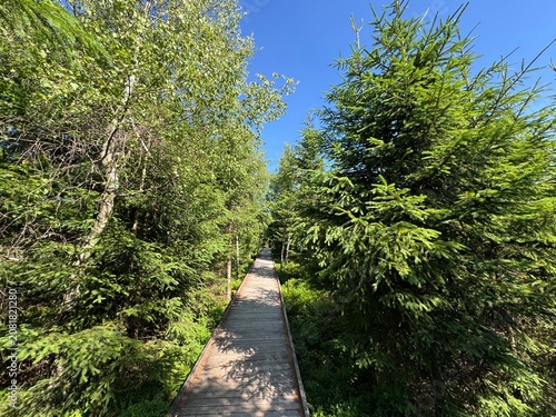 Foto Lotharpfad adventure trail in the Black Forest National Park or Lothar education