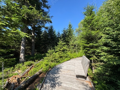 Foto Lotharpfad adventure trail in the Black Forest National Park or Lothar education