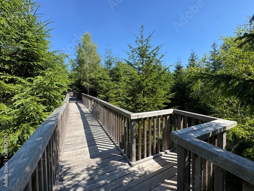 Canvas Print Lotharpfad adventure trail in the Black Forest National Park or Lothar education
