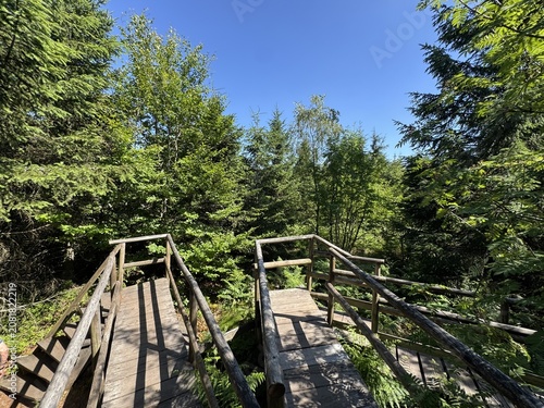 Photography Lotharpfad adventure trail in the Black Forest National Park or Lothar education