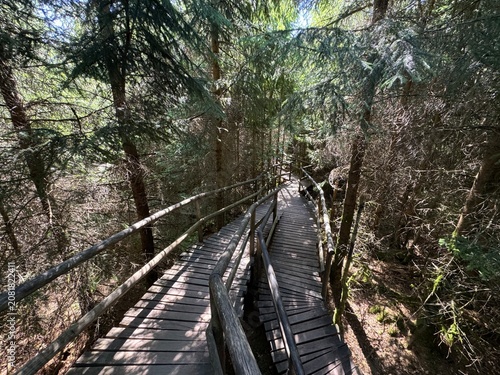 Fotografie Lotharpfad adventure trail in the Black Forest National Park or Lothar education