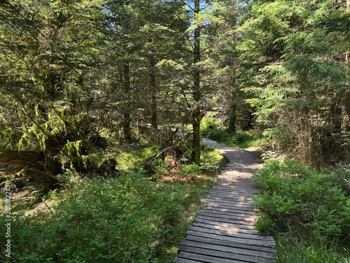Fotografie Lotharpfad adventure trail in the Black Forest National Park or Lothar education