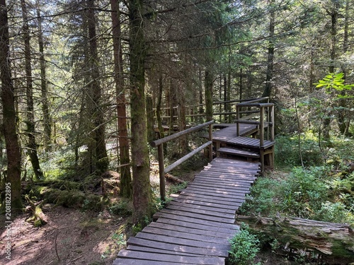 Fotografía Lotharpfad adventure trail in the Black Forest National Park or Lothar education