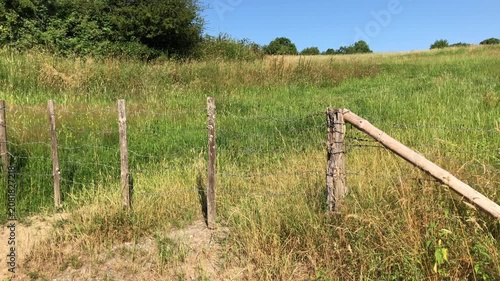 Idyllic rural forest countryside landscape with wooden fence poles at a pasture meadow field, natural wilderness on a sunny day in Westerwald in Germany Europe